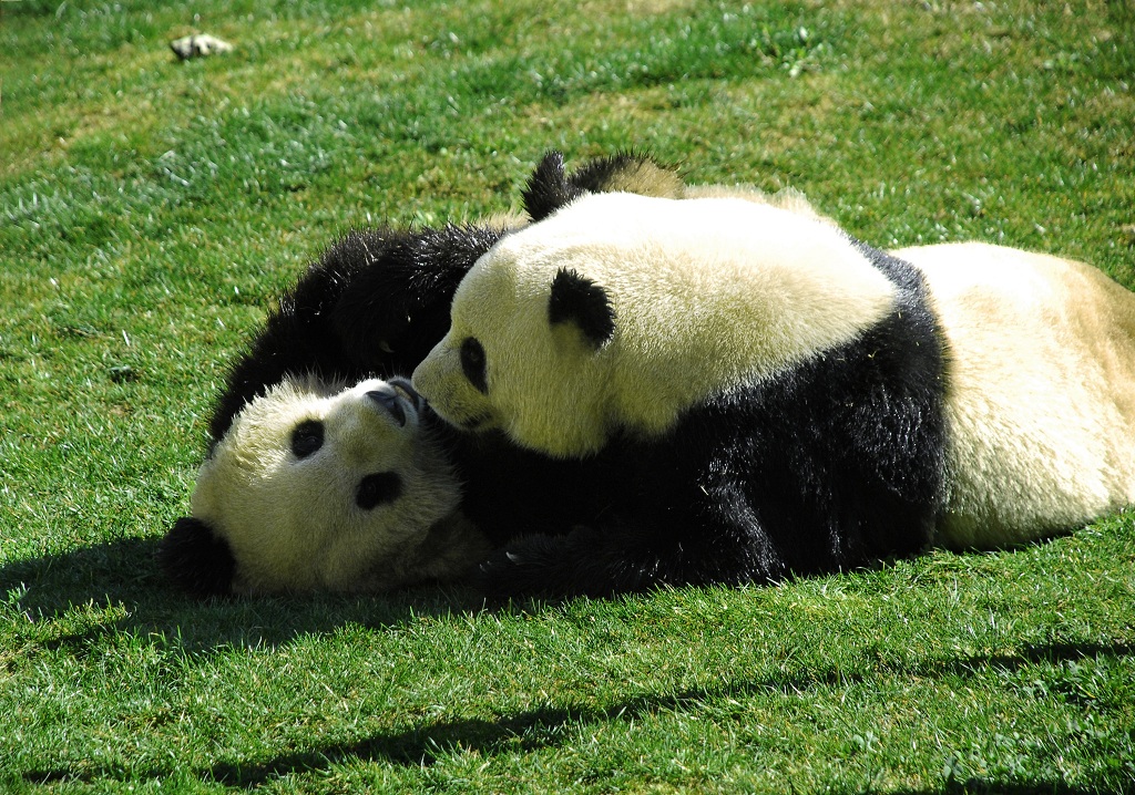 云南野生動(dòng)物園