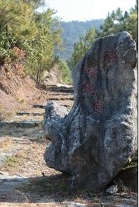C:\Documents and Settings\Administrator\桌面\網(wǎng)站專(zhuān)員\圖片配圖\新建文件夾\圖片9.jpg